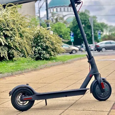 Drop In * Βελιγράδι